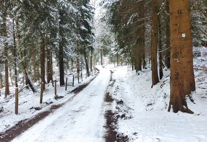 Streckenfoto bei Kilometer 12