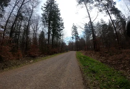 Streckenfoto bei Kilometer 0,6