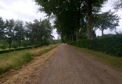 Streckenfoto bei Kilometer 8,4