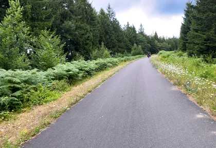Streckenfoto bei Kilometer 2,2