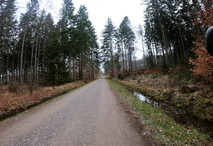 Streckenfoto bei Kilometer 1,3