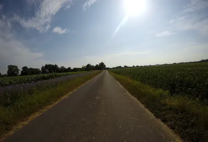 Streckenfoto der Route Kalkar, Grieth und Rheindeich