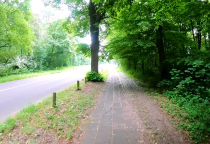 Streckenfoto bei Kilometer 20,6