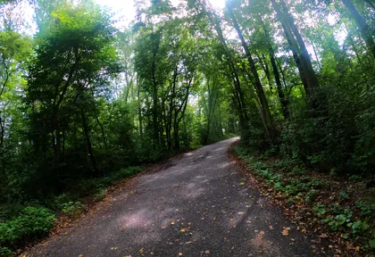 Streckenfoto bei Kilometer 2,8