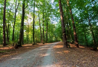 Streckenfoto bei Kilometer 22,8