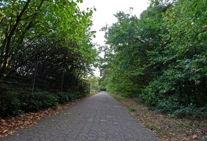 Streckenfoto bei Kilometer 19,4