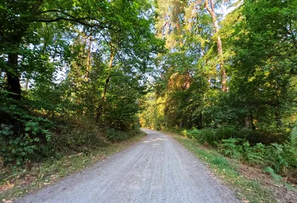 Streckenfoto bei Kilometer 23,4