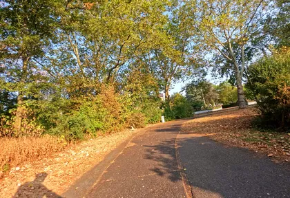 Streckenfoto bei Kilometer 6,6