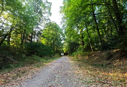 Streckenfoto bei Kilometer 21,8