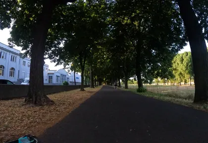 Streckenfoto bei Kilometer 1,6