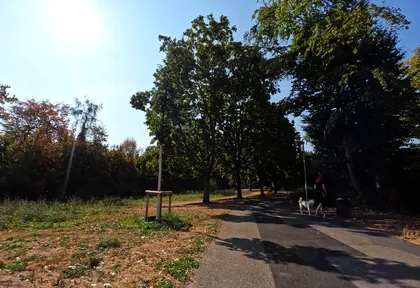 Streckenfoto bei Kilometer 38,6