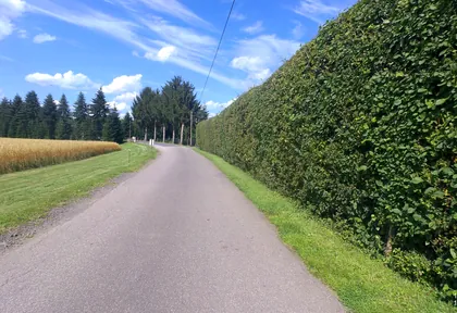 Streckenfoto der Route Königswinter, Siegtal und Allee