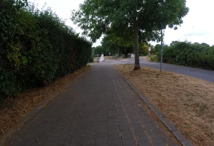 Streckenfoto bei Kilometer 1,6