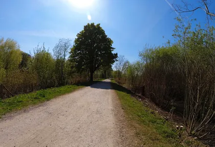 Streckenfoto bei Kilometer 7,6