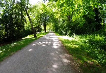 Streckenfoto bei Kilometer 8,4