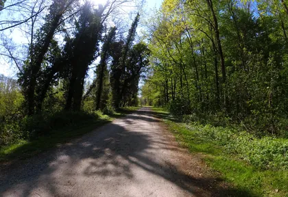 Streckenfoto bei Kilometer 7