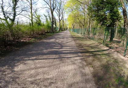 Streckenfoto bei Kilometer 21,4