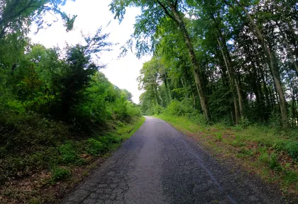 Streckenfoto der Route Lienen, Teutorand und vier Kirchen