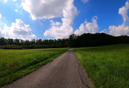 Streckenfoto bei Kilometer 8