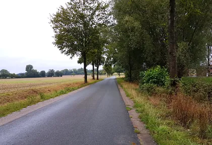 Streckenfoto bei Kilometer 3,8