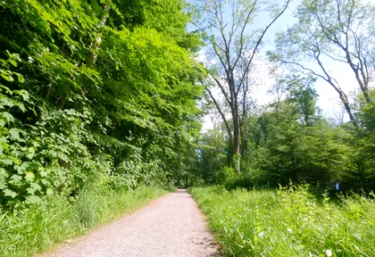 Route photo at kilometre 5