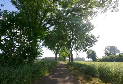Streckenfoto bei Kilometer 15