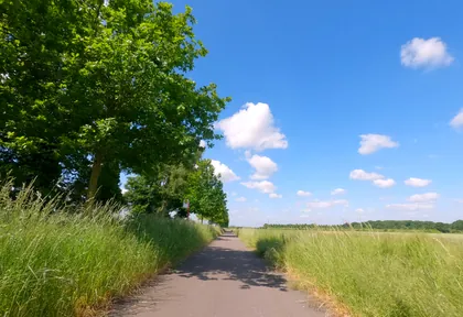Streckenfoto bei Kilometer 31,7