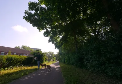 Streckenfoto bei Kilometer 27,6