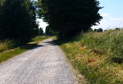 Streckenfoto bei Kilometer 35,2