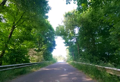 Streckenfoto bei Kilometer 16,8