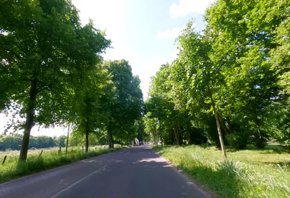 Streckenfoto bei Kilometer 4,6