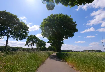 Streckenfoto bei Kilometer 5,8