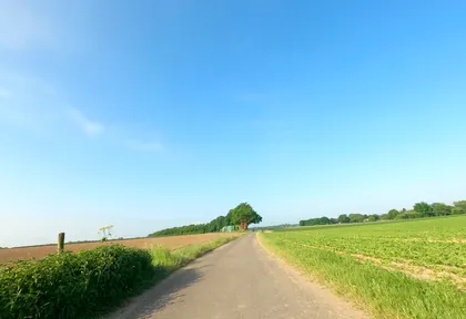 Streckenfoto bei Kilometer 19,2