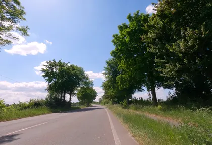 Streckenfoto bei Kilometer 5