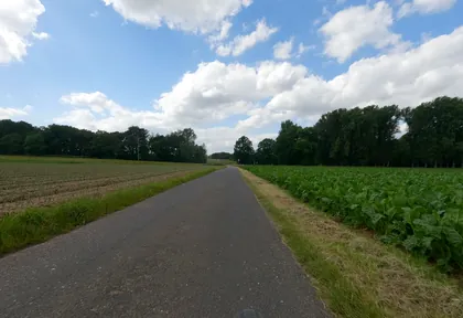 Streckenfoto bei Kilometer 14,8