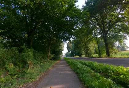 Streckenfoto bei Kilometer 38,2
