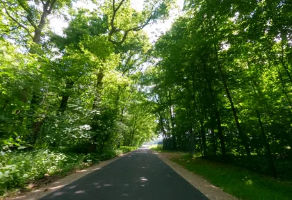 Streckenfoto bei Kilometer 11,4