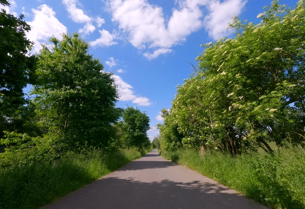 Streckenfoto der Route Venn, Niers und Bökelberg