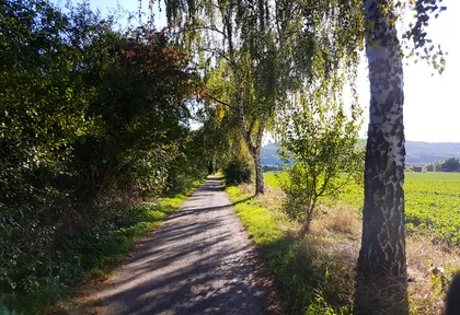 Streckenfoto bei Kilometer 6,4