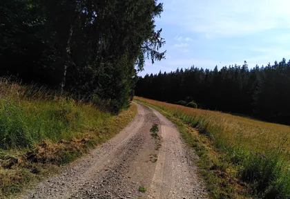 Streckenfoto bei Kilometer 11,2