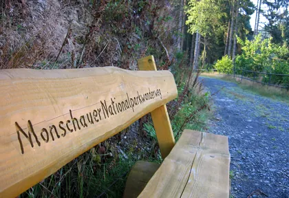 Streckenfoto bei Kilometer 3,3