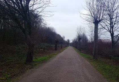 Streckenfoto bei Kilometer 19,6