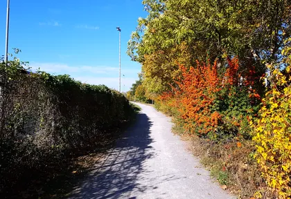 Streckenfoto bei Kilometer 8