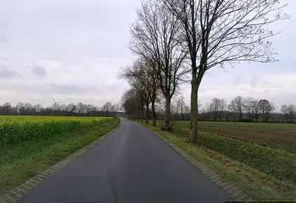 Streckenfoto bei Kilometer 38,6