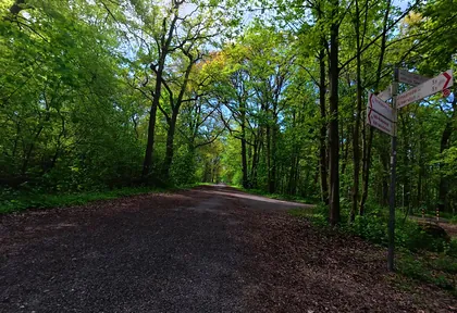 Streckenfoto bei Kilometer 23,6