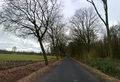 Streckenfoto bei Kilometer 5,6
