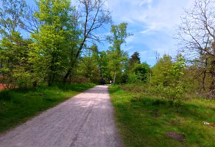 Streckenfoto bei Kilometer 23,8