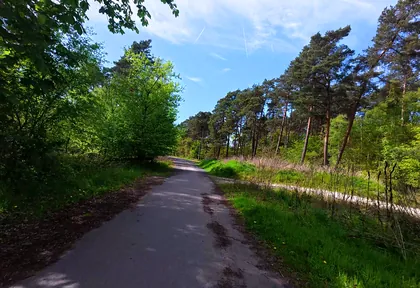 Streckenfoto bei Kilometer 23