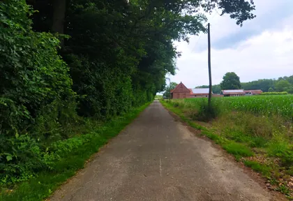 Streckenfoto bei Kilometer 46