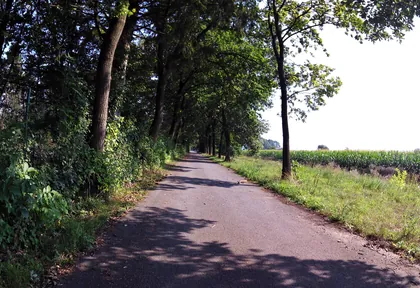 Route photo at kilometre 8.8